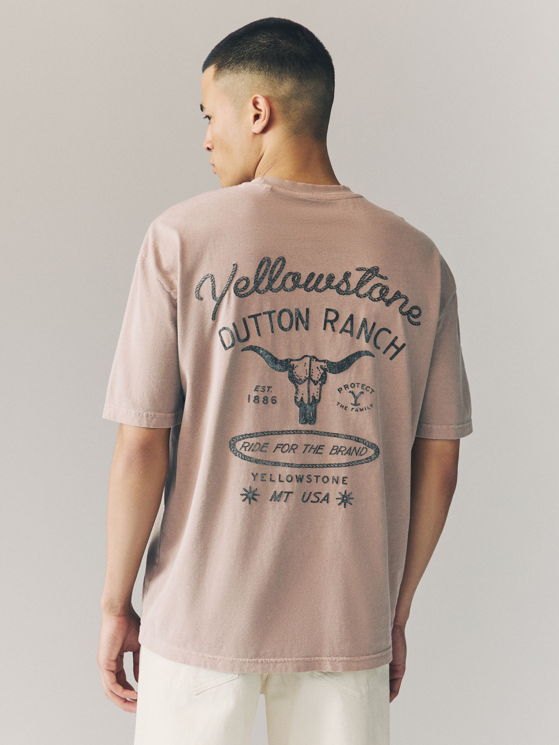 Buy Neutral Stone Yellowstone Graphic 100% Cotton T-Shirt from