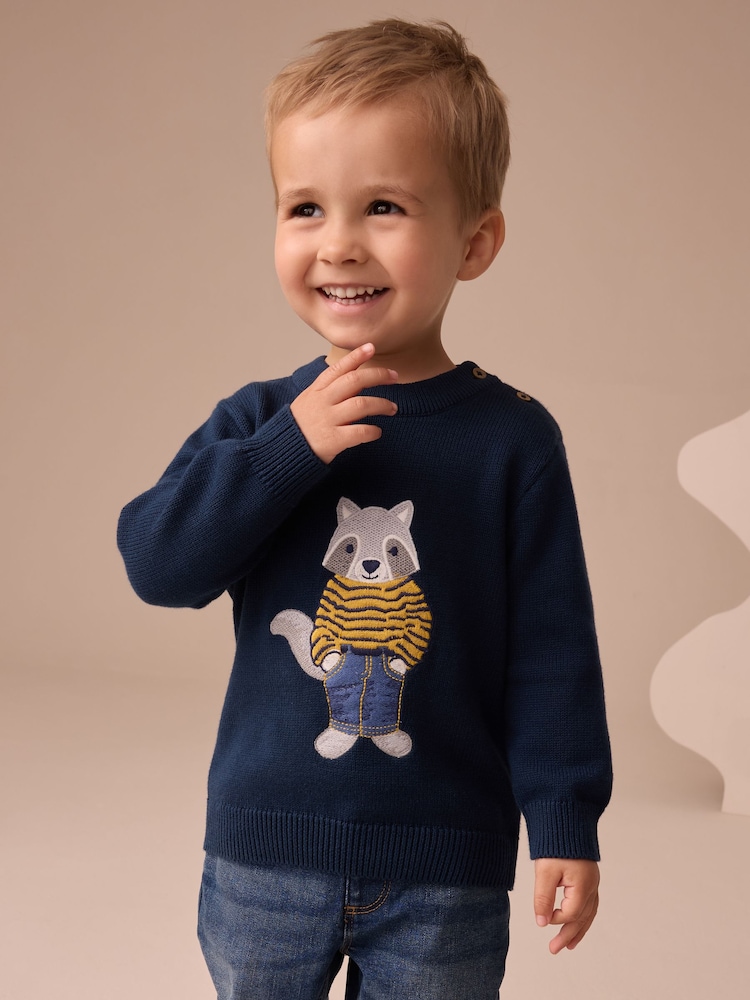 Navy Blue Raccoon Knitted Jumper (3mths-7yrs) - Image 1 of 8