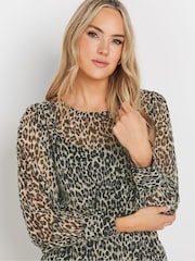 Long Tall Sally Grey Georgette Scoop Neck Blouse - Image 4 of 5
