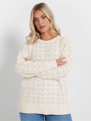 Yours Curve Natural Pointelle Chenille Jumper - Image 1 of 5