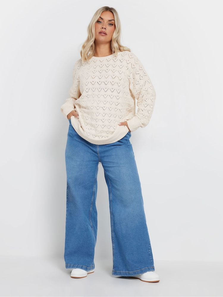 Yours Curve Natural Pointelle Chenille Jumper - Image 2 of 5