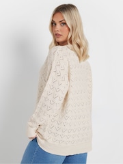 Yours Curve Natural Pointelle Chenille Jumper - Image 3 of 5