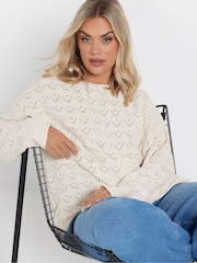 Yours Curve Natural Pointelle Chenille Jumper - Image 4 of 5