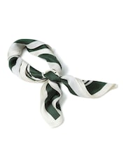 Aela Green And White Stripe Print Tie Me Up Scarf - Image 4 of 5