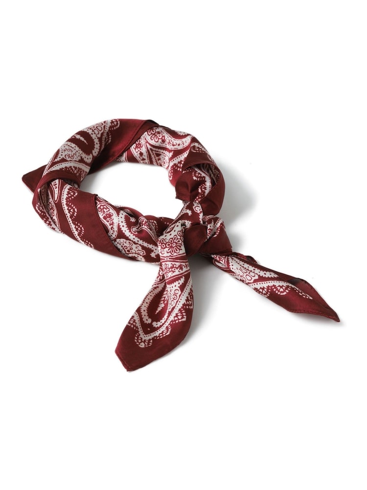 Aela Burgundy Paisley Print Tie Me Up Scarf - Image 1 of 4