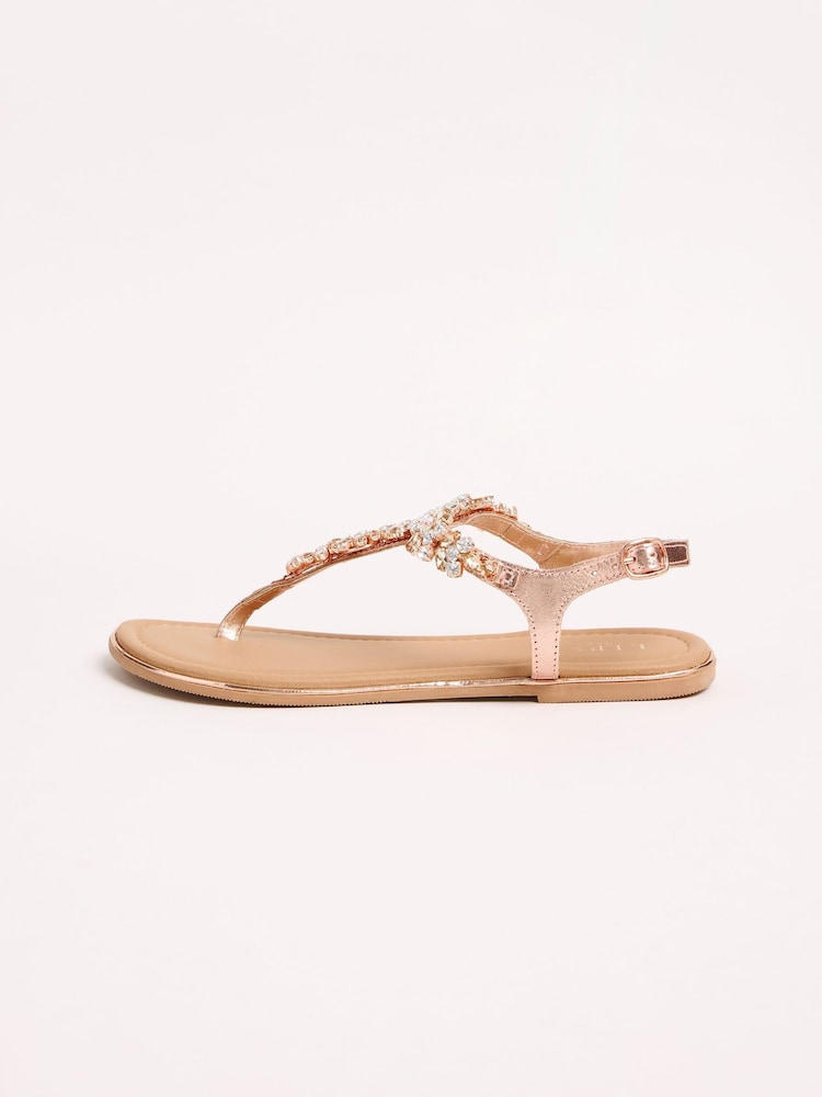 Lipsy Pink Standard Fit Embellished Leather Flat Sandals - Image 5 of 5