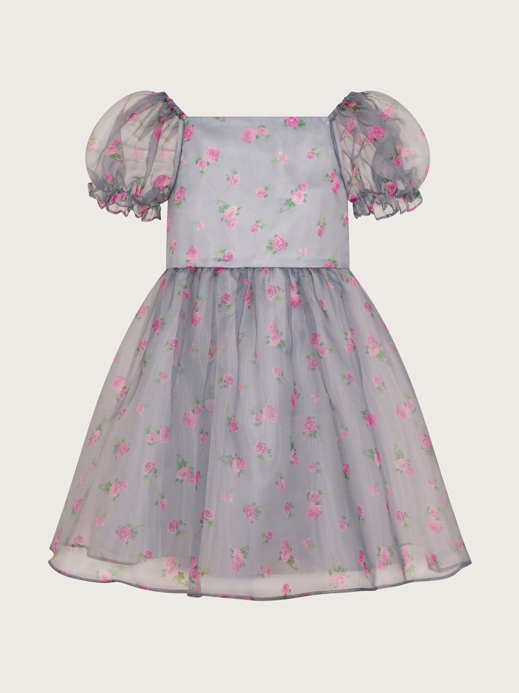 Monsoon Blue Puff Sleeve Floral Organza Dress - Image 1 of 4