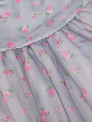 Monsoon Blue Puff Sleeve Floral Organza Dress - Image 4 of 4