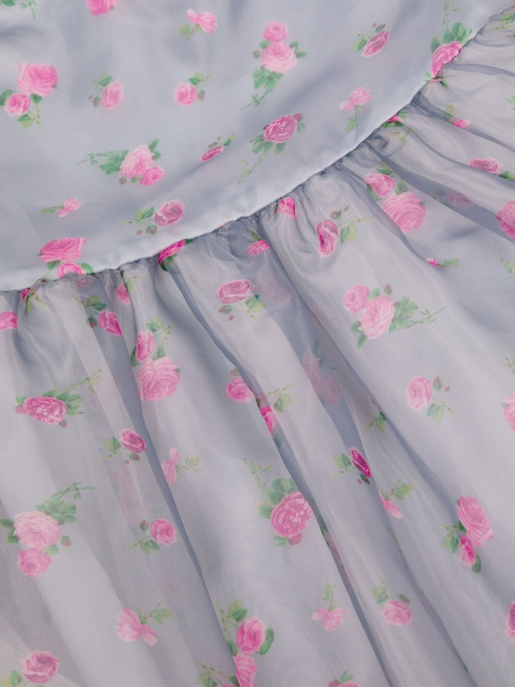 Monsoon Blue Puff Sleeve Floral Organza Dress - Image 4 of 4