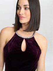Gina Bacconi Purple Deedee Velvet Halter Keyhole Maxi Dress - Image 4 of 6