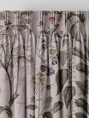 Graham & Brown Blush Pink Edulis Made to Measure Curtains - Image 2 of 8