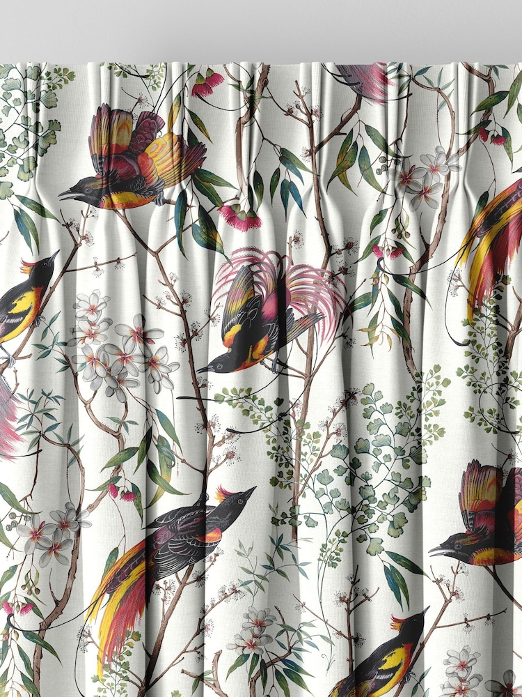Graham & Brown Day Cream Clavering Birds Made to Measure Curtains - Image 2 of 8