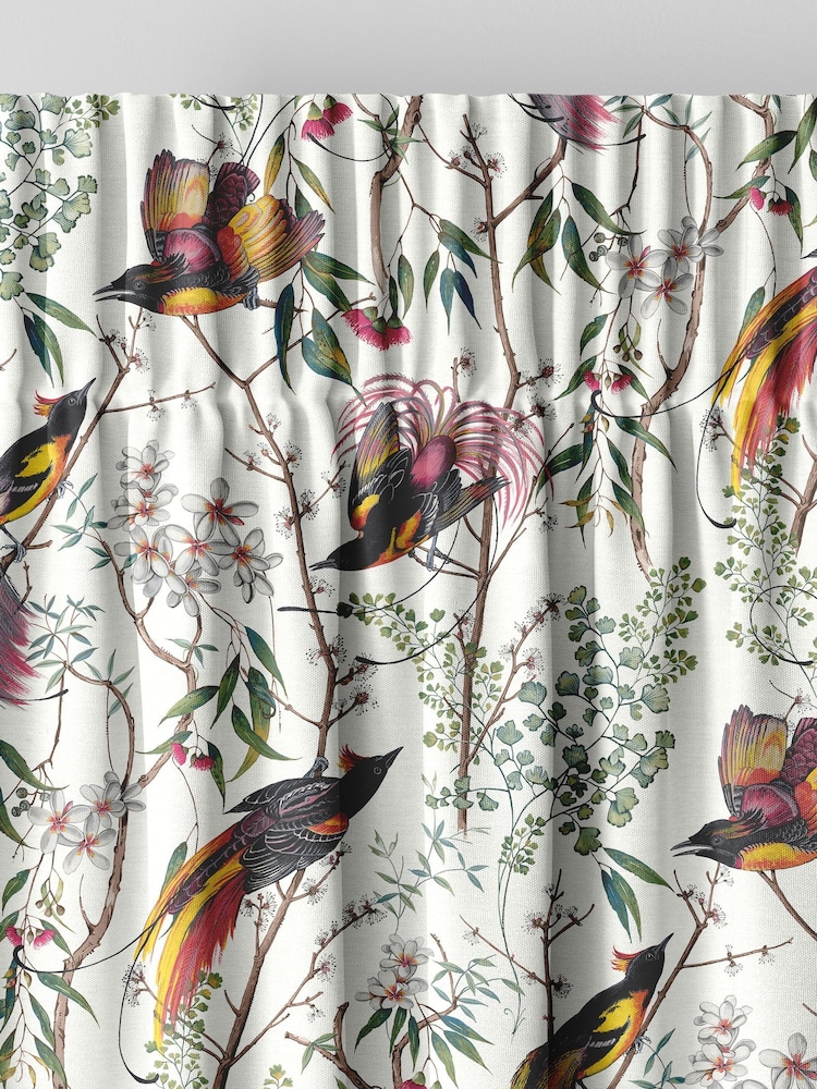 Graham & Brown Day Cream Clavering Birds Made to Measure Curtains - Image 5 of 8