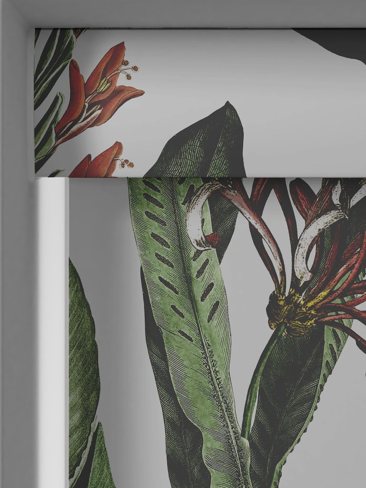 Graham & Brown White Glasshouse Made to Measure Roller Blinds - Image 2 of 5