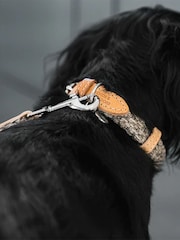 Lords and Labradors Pebble Essentials Herdwick Dog Collar - Image 3 of 6