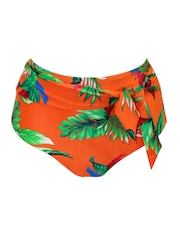 Pour Moi Paradiso Belted High Waisted Tummy Control Bikini Bottoms - صورة 3 من 4