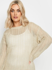 Yours Curve Natural Natural Brown Pointelle Crochet Jumper - Image 4 of 5