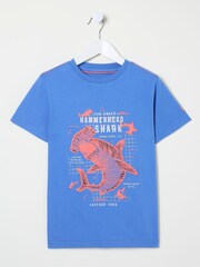 FatFace Blue Hammerhead Shark T-Shirt - Image 4 of 4