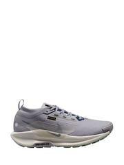 Nike Grey/Blue Pegasus Trail 5 GORETEX Running Trainers - Image 1 of 4