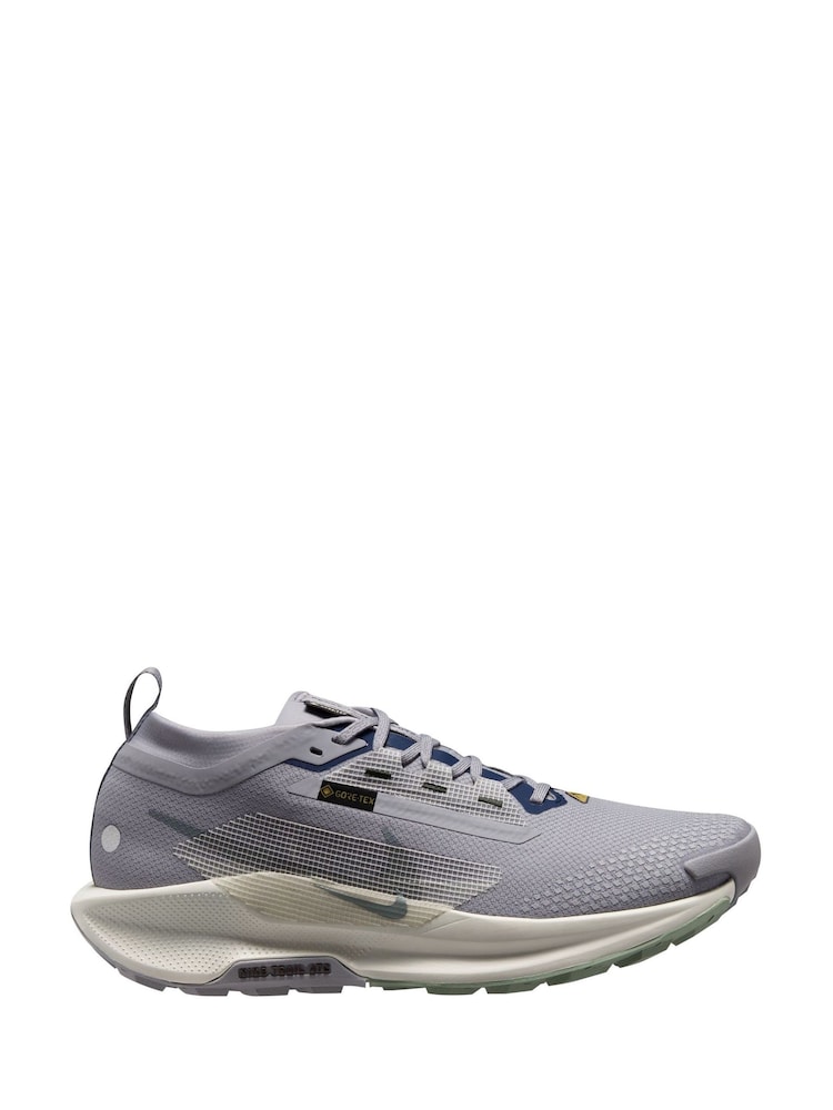 Nike Grey/Blue Pegasus Trail 5 GORETEX Running Trainers - Image 1 of 4