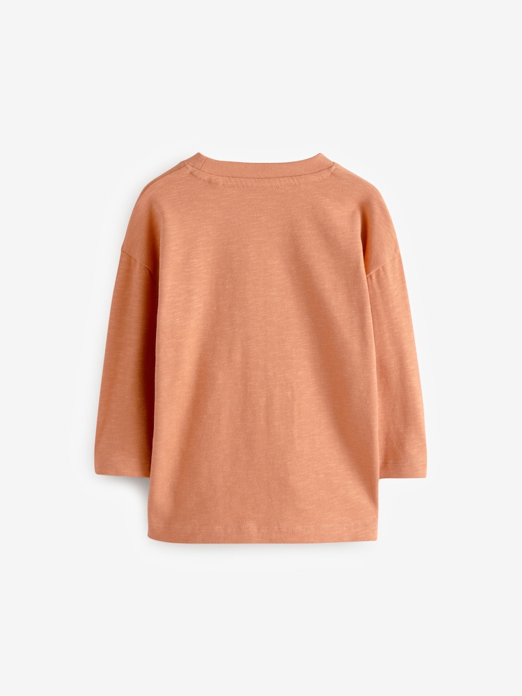 Brown Gruffalo 100% Cotton Long Sleeves T-Shirt (6mths-8yrs) - Image 2 of 6