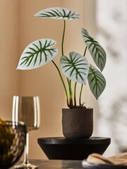 Green Exposed Root Artificial Plant - Image 1 of 4