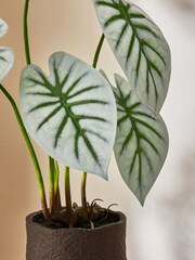 Green Exposed Root Artificial Plant - Image 2 of 4