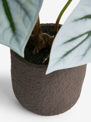 Green Exposed Root Artificial Plant - Image 4 of 4