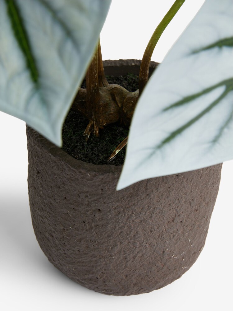 Green Exposed Root Artificial Plant - Image 4 of 4