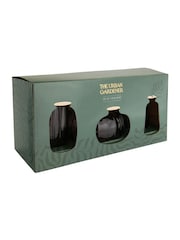 Portico Designs The Urban Gardener Bud Vases Set of 3 - Image 3 of 5