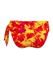 Pour Moi Yellow Roll Top Heatwave Bikini Briefs - Image 4 of 4