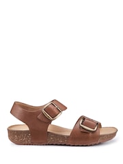 Hotter Dark Brown Regular Fit Tourist II Buckle Sandals - Image 1 of 4