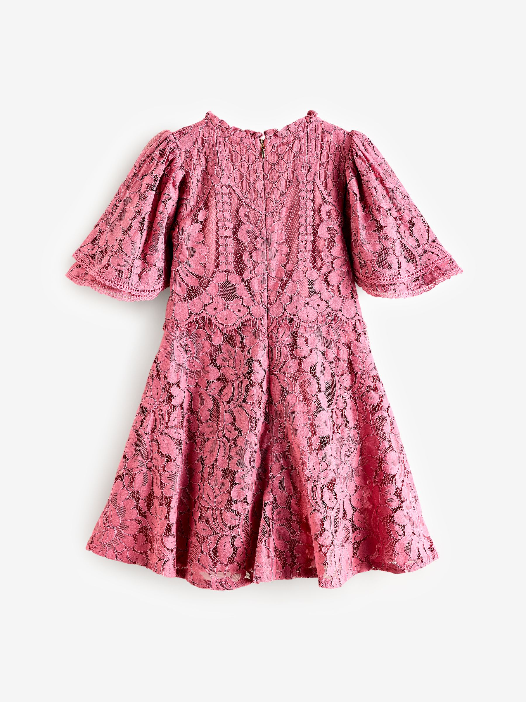 Buy Baker by Ted Baker Lace Dress from Next USA