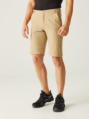 Regatta Natural Highton Long Walking Shorts - Image 1 of 7