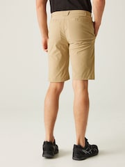 Regatta Natural Highton Long Walking Shorts - Image 2 of 7