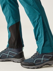 Regatta Blue Mountain III Walking Trousers - Image 4 of 7