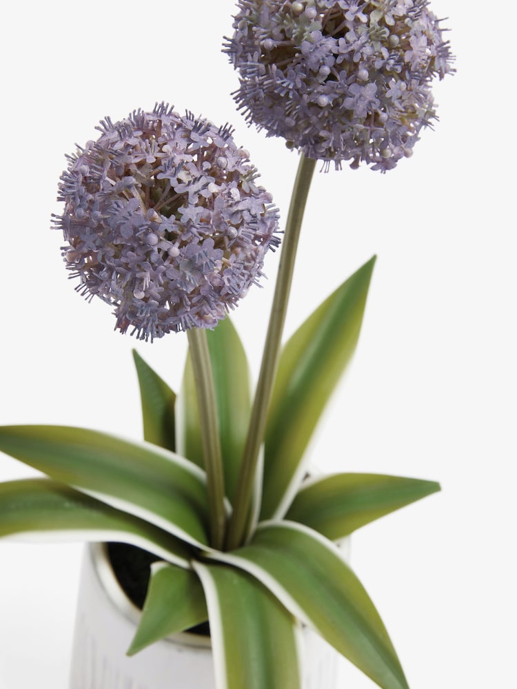 Purple Artifical Allium Plant In Ribbed Ceramic Pot - Image 2 of 3