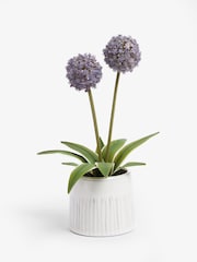 Purple Artifical Allium Plant In Ribbed Ceramic Pot - Image 3 of 3