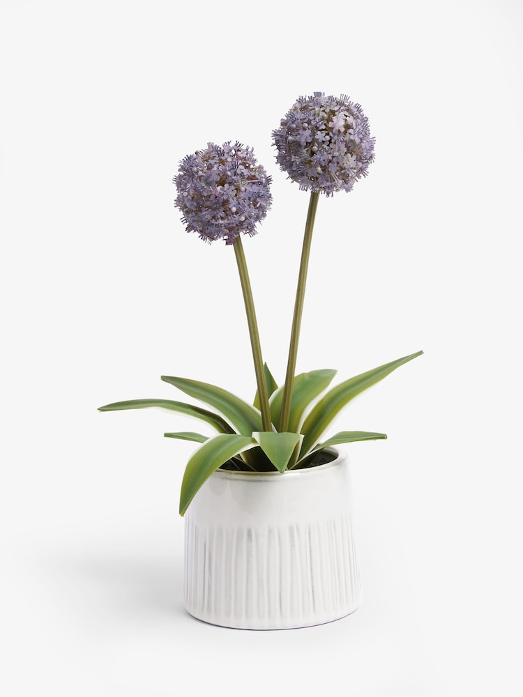Purple Artifical Allium Plant In Ribbed Ceramic Pot - Image 3 of 3