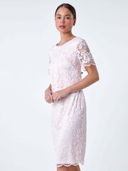 Roman Pink Lace Overlay Stretch Dress - Image 1 of 5