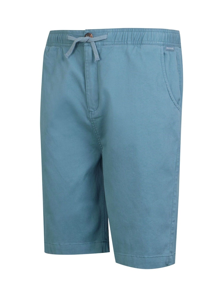 Regatta Light Blue Aldan Chino Shorts - Image 5 of 7