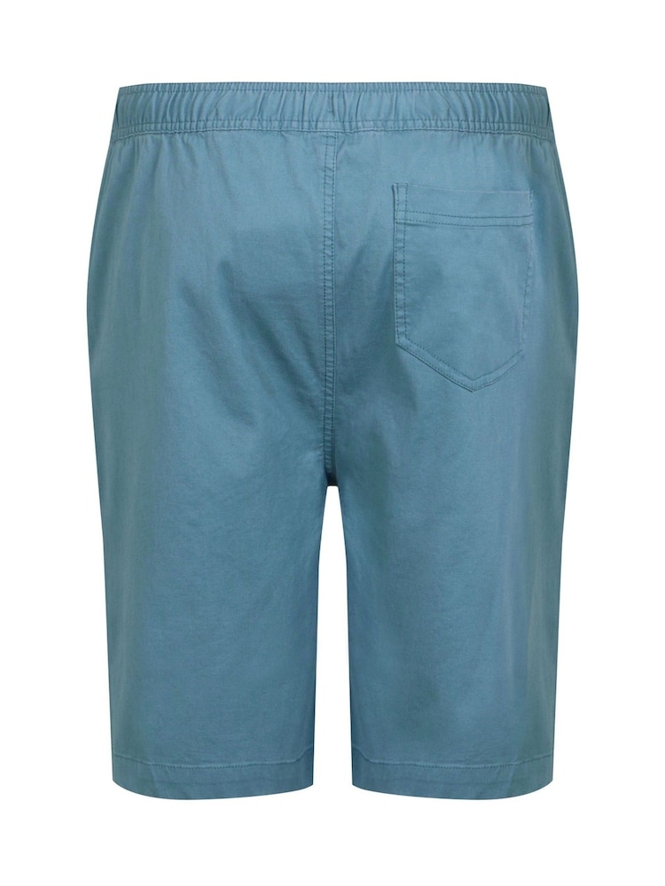 Голубой - Regatta Aldan Chino Shorts - Изображение 7 из 7