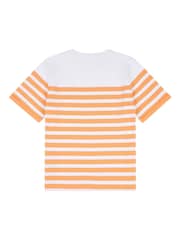 U.S. Polo Assn. Orange Womens Regular Fit Stripe 100% Cotton T-Shirt - Image 7 of 8