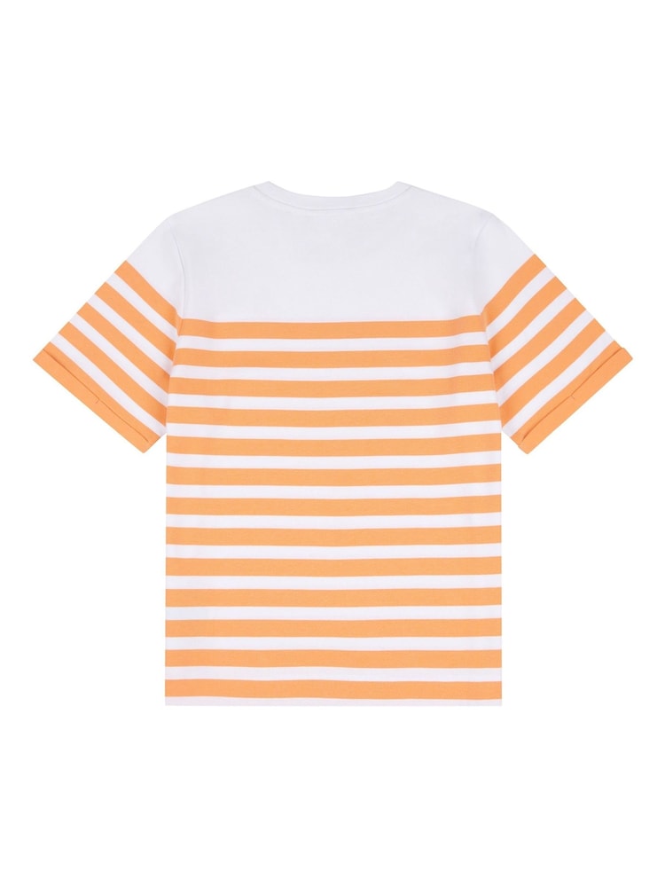 U.S. Polo Assn. Orange Womens Regular Fit Stripe 100% Cotton T-Shirt - Image 7 of 8