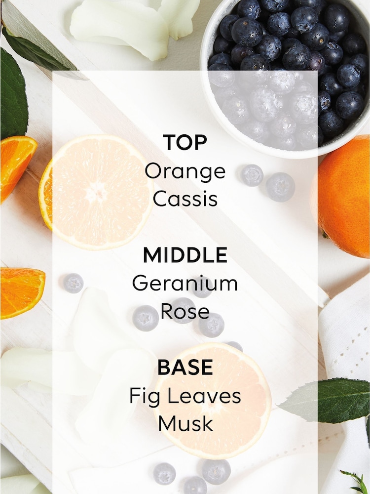 Collection Luxe Pure Harmony 60ml Orange and Geranium Fragranced Diffuser Refill - Image 5 of 5