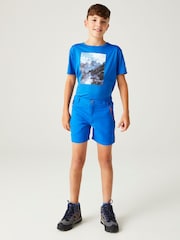 Regatta Blue Sorcer Mountain Shorts - Image 1 of 7