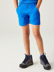 Regatta Blue Sorcer Mountain Shorts - Image 2 of 7