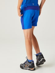 Regatta Blue Sorcer Mountain Shorts - Image 3 of 7