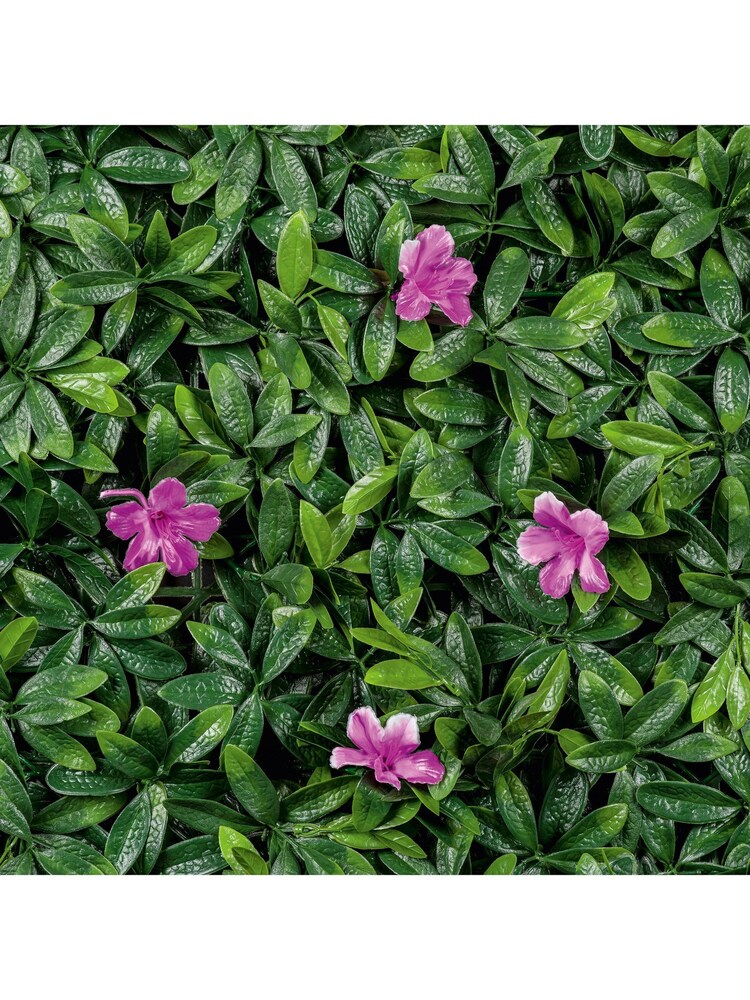 Premier Decorations Ltd Green/Pink Green 100x100cm Azalea Garden Living Wall - Image 6 of 6