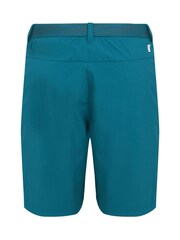 Blau - Regatta Mountain II Walking Shorts - Bild 6 von 7